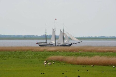 Foto 5 Ferienwohnung Ostfriesland Nordfriesland Auszeit am Elbdeich in Sankt Margarethen (Objekt 101782) buchen