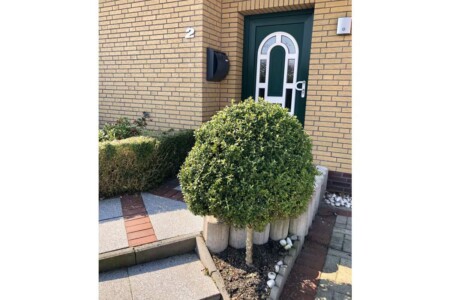 Foto 5 Ferienhaus Ostfriesland Carolinensiel Ferienhaus Dünenwind (Objekt 60340) buchen