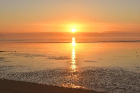 Foto 1 Ferienwohnung Ostfriesland Dornum & Umgebung Ferienwohnung Zwergpinscher (Objekt 85239) buchen