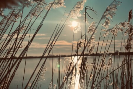 Foto 2 Ferienhaus Ostfriesland Aurich & Umgebung Küstenglück (Objekt 85266) buchen