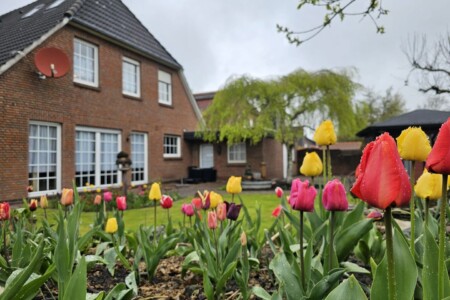 Foto 5 Ferienwohnung Ostfriesland Norddeich & Umgebung Ferienwohnung Buhne 2 Norddeich (Objekt 73089) buchen