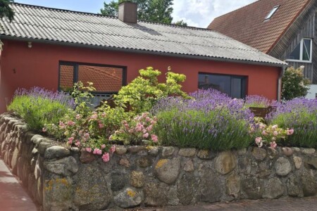 Foto 5 Ferienhaus Ostfriesland Nordfriesland Ferienhaus Libelle (Objekt 78120) buchen