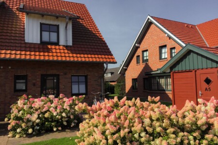 Foto 1 Ferienwohnung Ostfriesland Borkum Feriendorf Marienhof A5 Wulkje (Objekt 74556) buchen