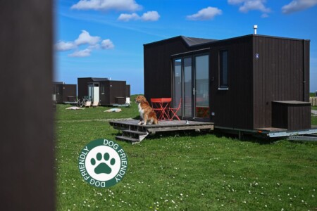 Foto 5 Ferienhaus Ostfriesland Carolinensiel Green Tiny Village Harlesiel -  House 4 Nature Dog Friendly Innenlage (Objekt 25735) buchen
