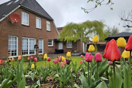 Foto 5 Ferienwohnung Ostfriesland Norddeich & Umgebung Ferienwohnung Buhne 2 (Objekt 100561) buchen