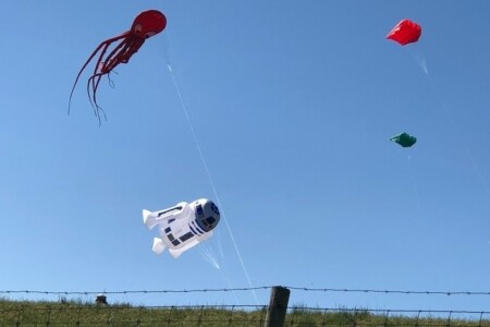 Foto 4 Ferienhaus Ostfriesland Butjadingen Wattwurm (Objekt 4274) buchen