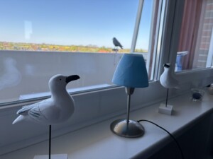 Tief 10 mit beheiztem Pool – Abendsonne  Internet 508