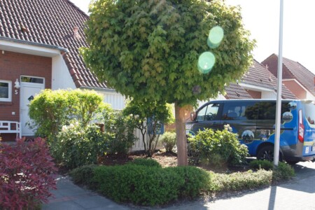 Foto 3 Ferienhaus Ostfriesland Carolinensiel DAT BOOTSHUUS (Objekt 76761) buchen