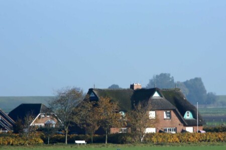 Foto 2 Ferienhaus Ostfriesland Dithmarschen Haus Deichgraf (Objekt 98346) buchen