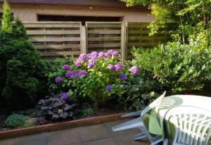 Warns, D., Ferienhaus Warns