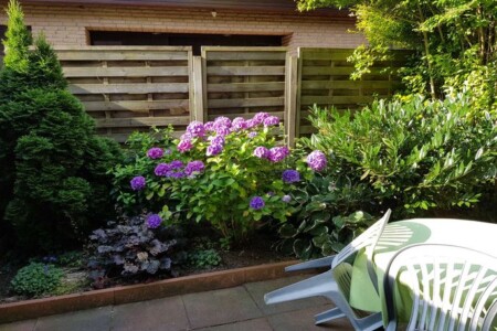 Foto 1 Ferienhaus Ostfriesland Friesland Warns, D., Ferienhaus Warns (Objekt 14204) buchen