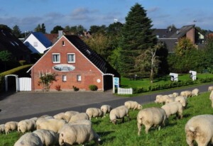 Ferienwohnung Baltrum