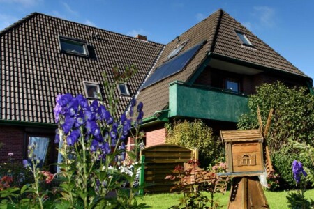 Foto 1 Ferienwohnung Ostfriesland Dithmarschen BUE - Appartementhaus Hansen (Objekt 98327) buchen