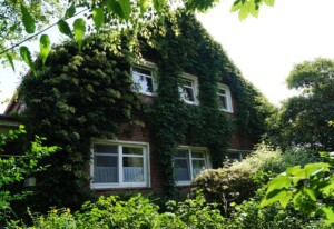 Ferienhof Schatteburg, 95098