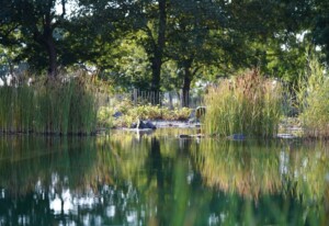 Traumkrone Ferienwohnungen – Himmelblau