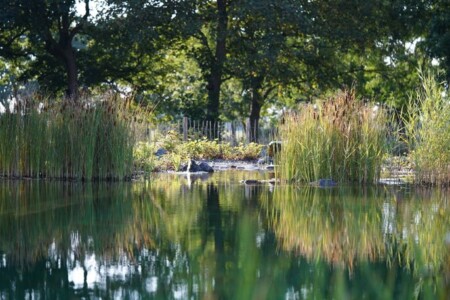 Foto 1 Ferienwohnung Ostfriesland Friesland Traumkrone Ferienwohnungen - Himmelblau (Objekt 73702) buchen