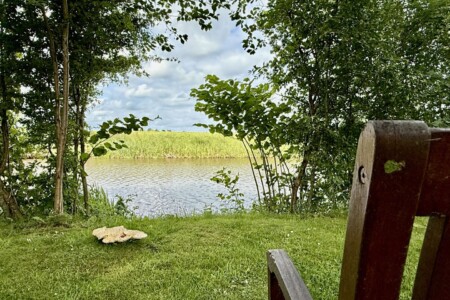 Foto 3 Ferienwohnung Ostfriesland Carolinensiel FeWo  Wikinger Harleblick - Altfunnixsiel (Objekt 78138) buchen