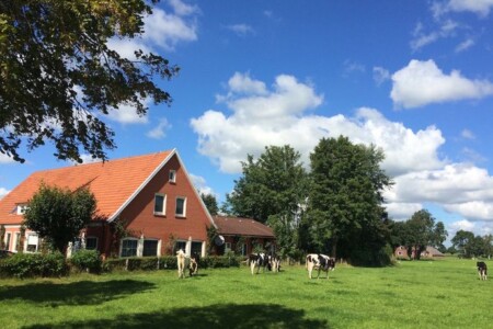 Foto 1 Ferienhaus Ostfriesland Leer & Umgebung Villa für 10 Personen in Ostfriesland mit Kino, Bar, Sauna und Whirlpool (Objekt 85099) buchen