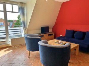 Strandlooper Strandflieder06