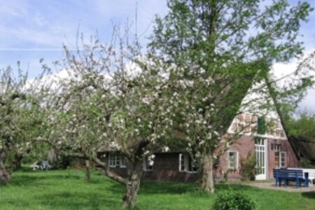 Foto 1 Ferienhaus Ostfriesland Zwischen Elbe und Weser Ferienhaus Zander (Objekt 55111) buchen