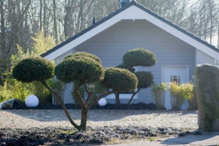 Foto 5 Ferienwohnung Ostfriesland Nordfriesland Ferienhaus Strandläufer (Objekt 43000) buchen
