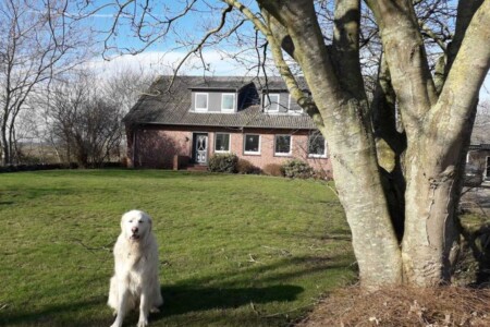 Foto 3 Ferienwohnung Ostfriesland Föhr Volkerts Hof (Objekt 56855) buchen