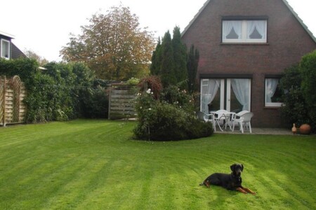 Foto 1 Ferienhaus Ostfriesland Friesland Haus Strandkrabbe (Objekt 56877) buchen