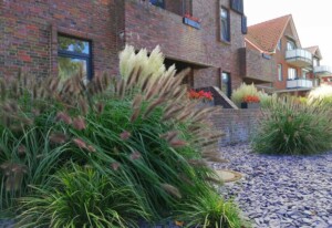 Ferienwohnung Anette