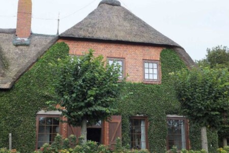 Foto 4 Ferienwohnung Ostfriesland Föhr Alte Schule Goting, Klassenzimmer (Objekt 62100) buchen