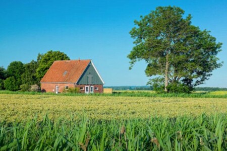 Foto 2 Ferienhaus Ostfriesland Zwischen Elbe und Weser Gerdas Huus (Objekt 98169) buchen
