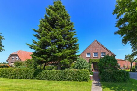 Foto 2 Ferienwohnung Ostfriesland Neuharlingersiel & Umgebung Ferienwohnungen auf dem Ferienhof Eschen in Moorweg (Objekt 96930) buchen