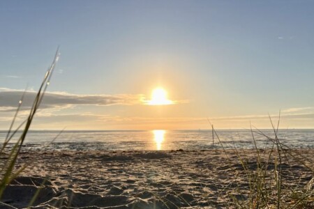 Foto 2 Ferienwohnung Ostfriesland Friesland Haus Seeblick (Objekt 99860) buchen