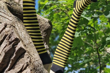 Foto  Ferienwohnung Ostfriesland Friesland Ferienwohnung Frau Hansen (Objekt 52922) buchen