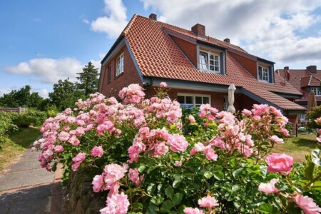 Foto 1 Ferienwohnung Ostfriesland Föhr Auszeit-Föhrzeit (Objekt 47716) buchen