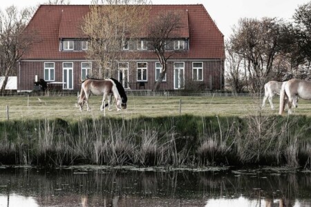 Foto 4 Ferienwohnung Ostfriesland Nordfriesland Apartment Theodor Storm - Digeskolen Vollerwiek (Objekt 57632) buchen