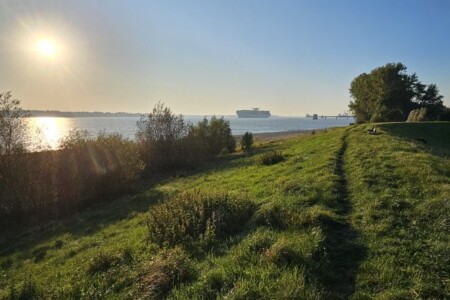 Foto 1 Ferienhaus Ostfriesland Zwischen Elbe und Weser Ferienhaus Pagensand (Objekt 99514) buchen