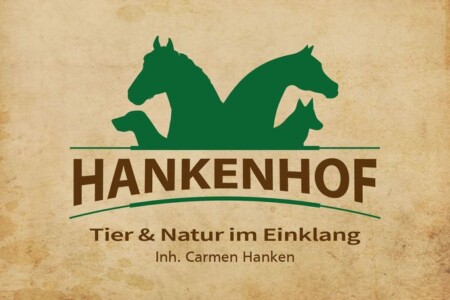 Foto 3 Ferienwohnung Ostfriesland Leer & Umgebung Ferienwohnungen HANKENHOF und TAMME`s Home 55169 (Objekt 97887) buchen