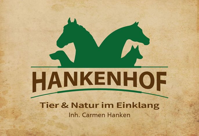 Ferienwohnungen HANKENHOF und TAMME`s Home 55169