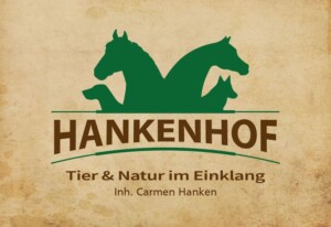 Ferienwohnungen HANKENHOF und TAMME`s Home 55169