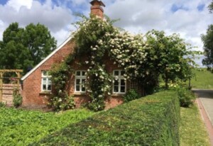 Ferienhaushälfte Fischerkate am Deich, 45069