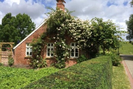 Foto 3 Ferienwohnung Ostfriesland Rheiderland Ferienhaushälfte Fischerkate am Deich, 45069 (Objekt 97353) buchen