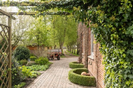 Foto 1 Ferienwohnung Ostfriesland Leer & Umgebung Ferienwohnung Birken-Allee 35181, EG/OG (Objekt 98437) buchen