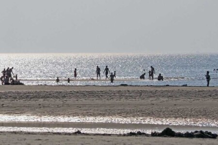 Foto 1 Ferienhaus Ostfriesland Nordfriesland Frahmshörn (Objekt 93628) buchen