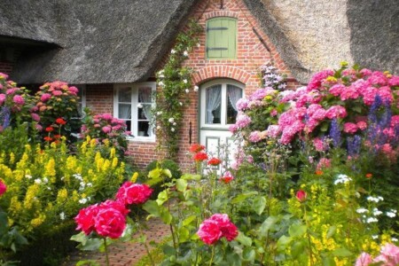 Foto 2 Ferienwohnung Ostfriesland Nordfriesland Reetdachhus an de Diek 19 (Objekt 78115) buchen