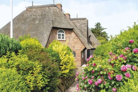 Foto 5 Ferienhaus Ostfriesland Sylt Hansenhoog 2 von A&M (Objekt 99459) buchen