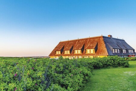 Foto 3 Ferienwohnung Ostfriesland Sylt Kliffsand 73 (Objekt 80644) buchen