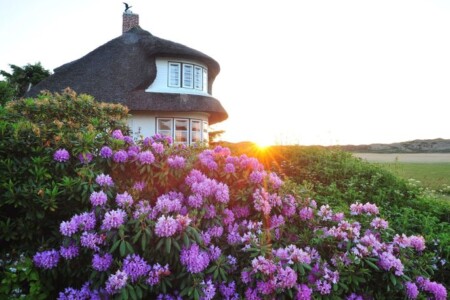 Foto 3 Ferienhaus Ostfriesland Sylt Watthüs (Objekt 82940) buchen