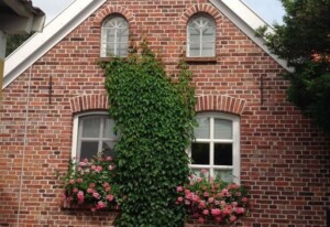 Klaassen – Feha Up Warf