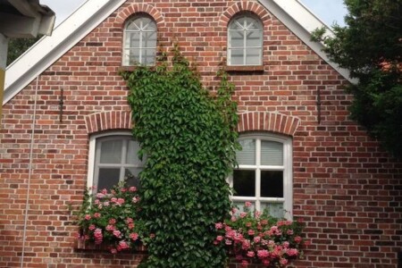 Foto 1 Ferienhaus Ostfriesland Emden Klaassen - Feha Up Warf (Objekt 98667) buchen