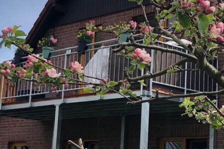 Foto 2 Ferienwohnung Ostfriesland Zwischen Elbe und Weser Ferienwohnung Kalle (Objekt 74574) buchen